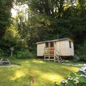 a small wooden cabin in the middle of a yard at 'Morris' the shepherd's hut with woodland hot tub in Carmarthen
