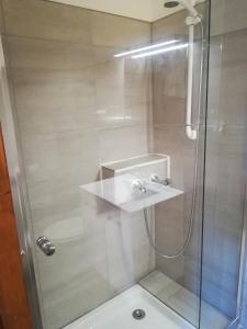 a shower with a glass door and a sink at Hotel La Croix des Bois in Lalizolle