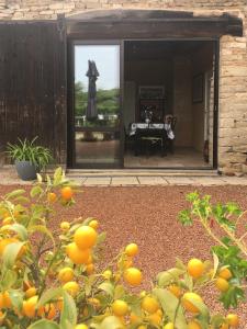 einem Orangenbaum vor einem Haus mit einem Tisch in der Unterkunft La Chambre des Buissonnats in Martailly-lès-Brancion + 30 Fotos