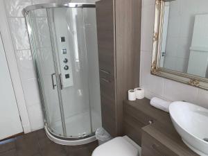 a bathroom with a shower and a toilet and a sink at The Village Tavern Apartment in Larkhall