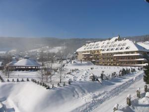 Hotel Stok ziemā