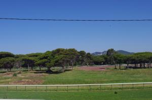 a view of a field with trees and a road at Les Stoechades in Hyères
