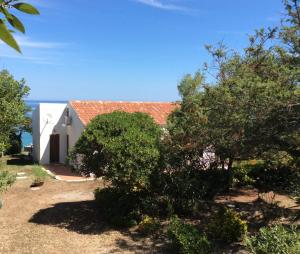 Κήπος έξω από το Villetta sul mare a Punta Tramontana +29 φωτογραφίες