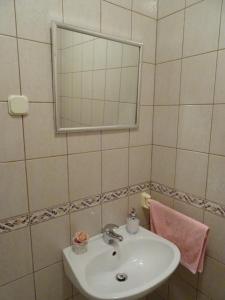 Kúpeľňa v ubytovaní Apartman Iris s terasom