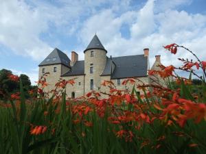 a castle with a field of flowers in front of it at Manoir de Kergrec'h in Plougrescant