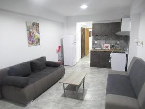 a living room with a couch and a table and a kitchen at Artistic Rent Rooms & Apartments in Nea Kalikratia