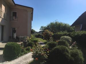 a garden in front of a house with bushes and flowers at Dom Wakacyjny Karol in Łeba