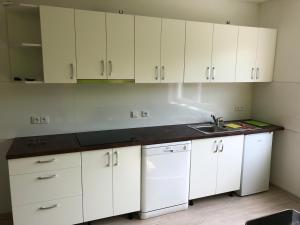 Kuchyň nebo kuchyňský kout v ubytování Apartmány LETO