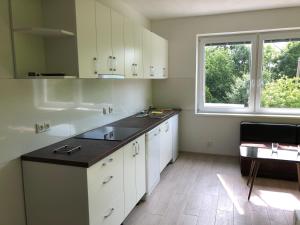 Kuchyň nebo kuchyňský kout v ubytování Apartmány LETO