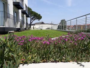 Giardino di Luna Blu