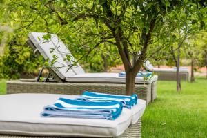 Zahrada ubytování Alquería Calatrava B&B
