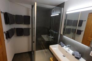a bathroom with a shower and a sink and a mirror at Chalet Tuftbach in Grindelwald