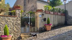 Zahrada ubytování B&B Il Melograno