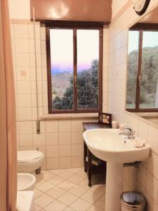 a bathroom with a sink and a toilet and a window at PIAN DEL LECCIONE in Manciano