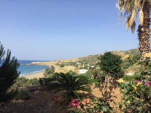 Blick auf einen Strand mit Palmen und das Meer in der Unterkunft Apartment with stunning sea view in Pachyammos