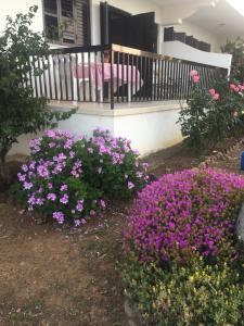 a bed of flowers in front of a house at Apartment with stunning sea view in Pachyammos