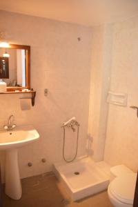 a bathroom with a shower and a toilet and a sink at Pelion Orama in Agios Ioannis Pelio +57 photos