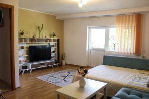 a living room with a couch and a tv at Collosal Apartment with Garden in Bucharest