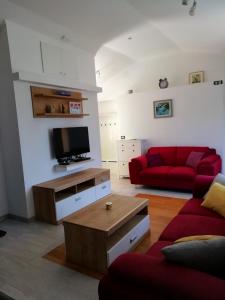 uma sala de estar com um sofá vermelho e uma televisão em Apartments Hana em Goveđari