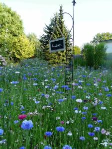 un campo de flores con una señal en el medio en Pension Zur Kirchsee en Insel Poel