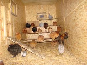 Zdjęcie z galerii obiektu PanAnn Organic Farm w mieście Narewka