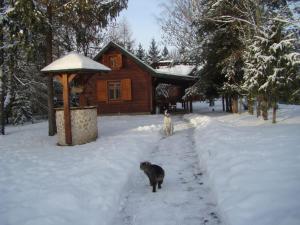Zdjęcie z galerii obiektu PanAnn Organic Farm w mieście Narewka