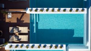 Foto dalla galleria di 9 Muses Santorini Resort a Perivolos
