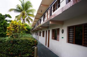 uma vista lateral de um edifício com uma palmeira em Hotel Cozumel Costa Brava em Cozumel