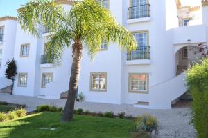 a palm tree in front of a white building at Palm Bay Apartment in Luz