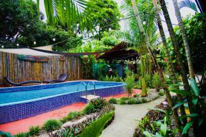 einen Pool in einem Garten mit Palmen in der Unterkunft Cabinas D’Val in Uvita
