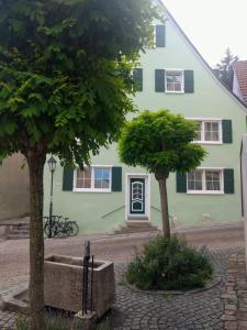a green house with two trees in front of it at Old town center apartments on the Romantic Road in Harburg