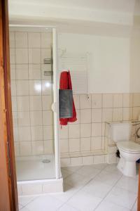 Vonios kambarys apgyvendinimo įstaigoje Hotel Gotthard