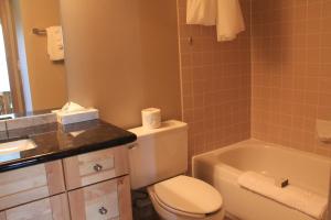 a bathroom with a toilet and a sink and a tub at Waterton Lakes Lodge Resort in Waterton Park