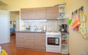 a kitchen with a stove and a sink in it at Casa Tsounis in Volimes