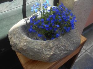a blue vase filled with flowers sitting on top of a table at XARDÍN DE ESTRELAS *** in Sarria