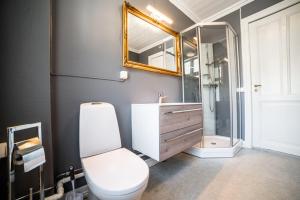 a bathroom with a toilet and a shower and a mirror at Lærdalsøren Motor Guesthouse in Lærdalsøyri +45 photos