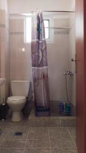 a bathroom with a toilet and a shower curtain at Dimitris & Vassiliki's apartment in Possidi