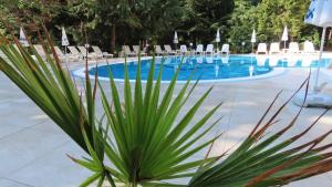 The swimming pool at or close to Hotel Exotica