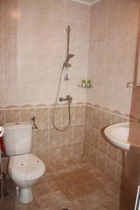 uma casa de banho com um chuveiro, um WC e um lavatório. em Family Hotel Emilia em Sozopol