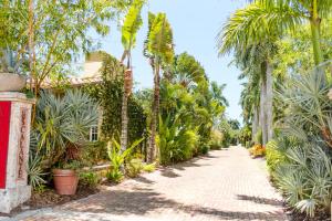 a cobblestone road with palm trees and plants at Hotel Escalante in Naples