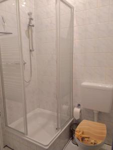 La salle de bains est pourvue d'une douche et de toilettes. dans l'établissement Ferienwohnung Paula, à Chemnitz