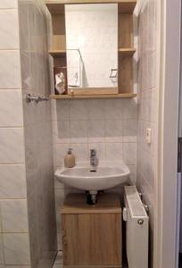 La salle de bains est pourvue d'un lavabo et d'un miroir. dans l'établissement Ferienwohnung Paula, à Chemnitz