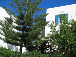 聖安娜納克索斯的住宿－HOTEL KAPARI，一座建筑前的松树