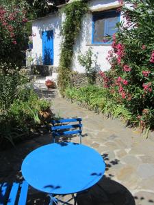 A garden outside Sierra y Mar