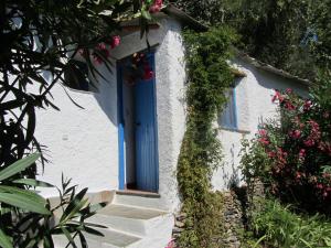 A garden outside Sierra y Mar