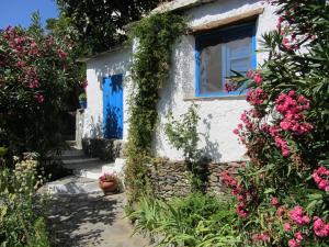A garden outside Sierra y Mar