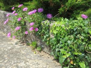 Ein Garten an der Unterkunft Gianna Apartment Labin