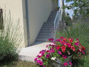 Ein Garten an der Unterkunft Gianna Apartment Labin