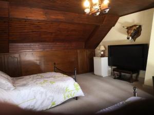 Schlafzimmer mit einem Bett und einem Flachbild-TV in der Unterkunft Au Jardin Fleuri in Secondigny