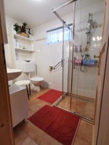 a bathroom with a shower with a red rug at Ferienhaus Barbara in Ebenthal